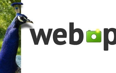 WebP: Ce este si de ce sa il folositi?