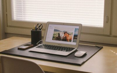 Ce este gazduirea web si cum functioneaza?