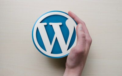 Despre mentenanta website WordPress: in ce consta si cum o puteti planifica?