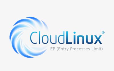 Ce inseamna EP (Entry Processes Limit)?