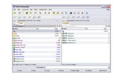 Ce este Total Commander?