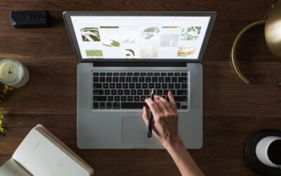 Ce este  un browser?