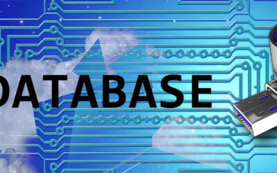 Pentru ce se utilizeaza bazele de date?